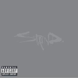 Cover for Staind · 14 Shades of Grey (CD) (2003)