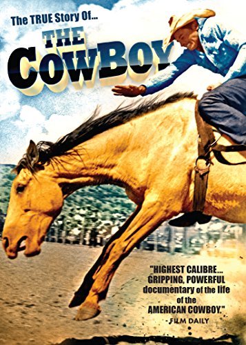 Cover for Cowboy (DVD) (2015)
