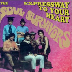 Cover for Soul Survivors · Expressway to Your Heart (CD) (1994)