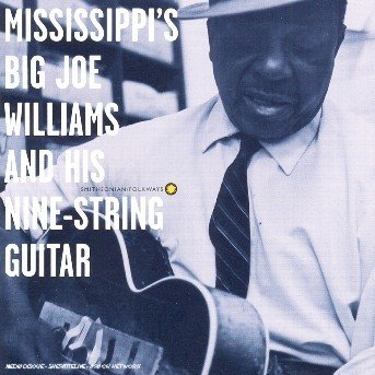 Cover for Big Joe Williams · Mississippi's Big Joe Wil (CD) (1995)