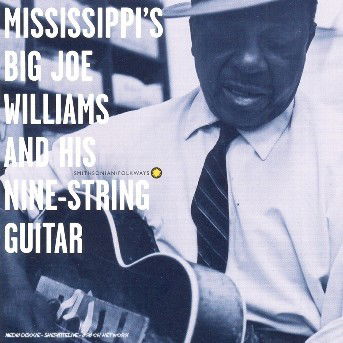 & His Nine String Guitar - Big Joe Williams - Música - SMITHSONIAN FOLKWAYS - 0093074005224 - 17 de octubre de 1995