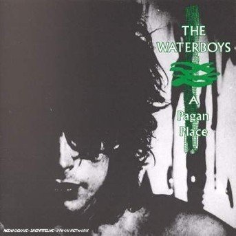 Cover for Waterboys · A Pagan Place (CD) (1996)