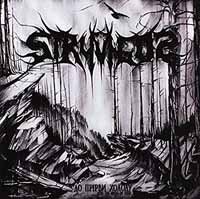 Cover for Stryvigor · Into The Abyss Of Cold (CD) (2015)