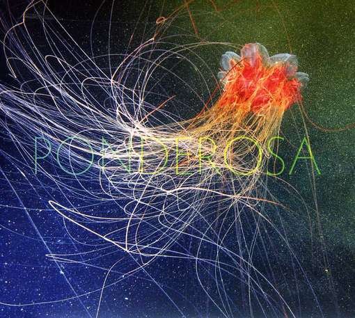 Cover for Ponderosa · Pool Party (CD) [Digipak] (2012)