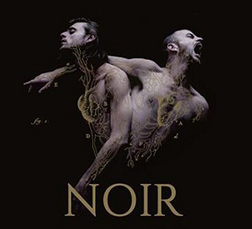 Cover for Heymoonshaker · Noir (CD) (2015)