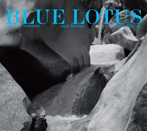 Blue Lotus - Mikkel Nordsø / Tine Rehling / Ole Theill - Muziek - STUNT - 0663993101224 - 2010