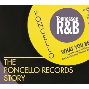 Poncello Records Story -T - V/A - Musik - SPV - 0693723958224 - 7. marts 2016