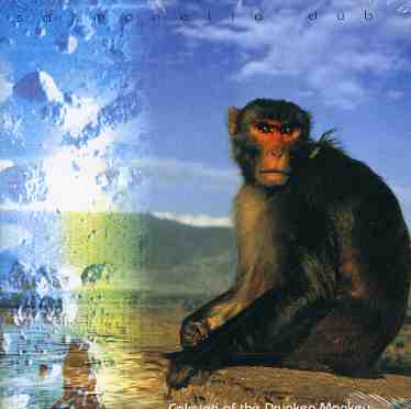 Cover for Salmonella Dub · Calming of the Drunken Monkey (CD) (2006)