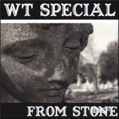 From Stone - W.t. Special - Musik - CD Baby - 0733792508224 - 29. juni 2004