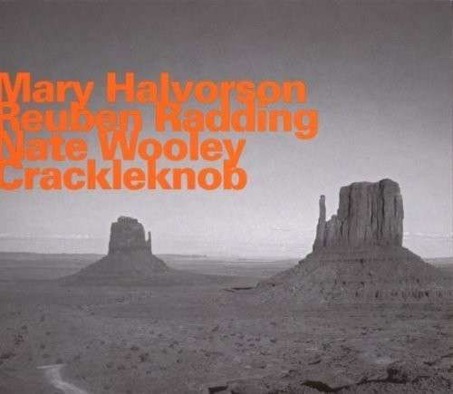 Crackleknob - Halvorson / Radding / Wooley - Musik - HATOLOGY - 0752156066224 - 13 april 2011