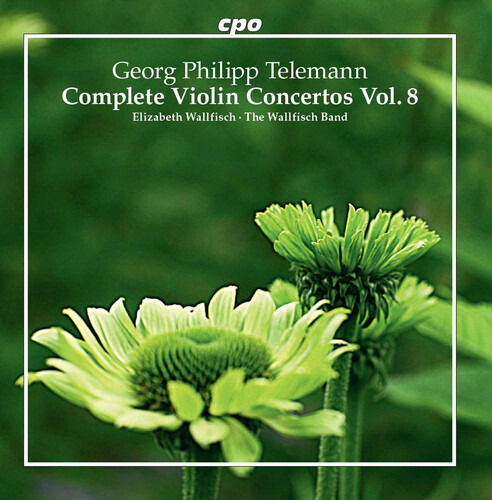 Cover for Wallfisch Band · Telemann: Complete Violin Concertos Vol.8 (CD) (2022)