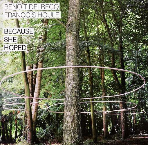 Because She Hoped - Delbecq,benoit / Houle,francois - Musik - SONGLINES - 0774355159224 - 8. november 2011