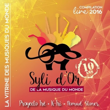 Syli D'or De La Musique Du Monde 10 Ans / Various - Syli D'or De La Musique Du Monde 10 Ans / Various - Musiikki - IMT - 0776693213224 - perjantai 1. heinäkuuta 2016
