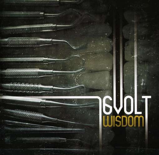 Cover for Sixteen Volt · Wisdom (CD) (2022)