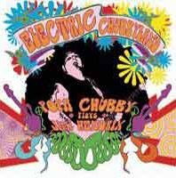 Cover for Popa Chubby · Electric Chubbyland (CD) [Digipak] (2006)