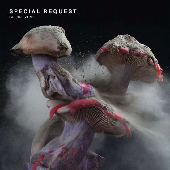 Fabriclive 91 : - Special Request - Música - fabric Records - 0802560018224 - 23 de março de 2017