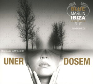 Cover for Aa.vv. · Blue Marlin Ibiza Vol 9 (CD) (2023)