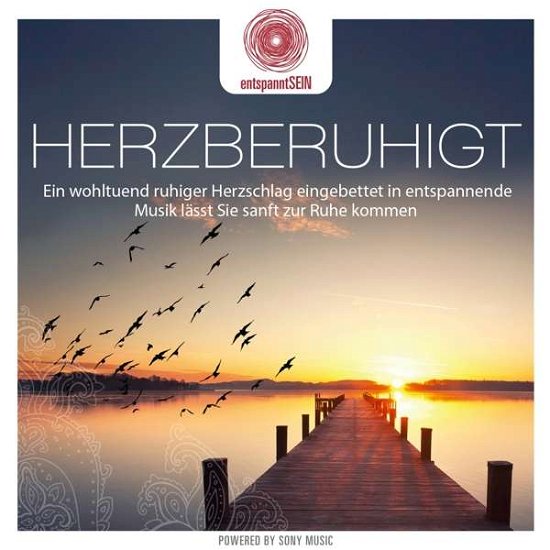 Cover for Davy Jones · Entspanntsein: Herzberuhigt (CD) (2016)