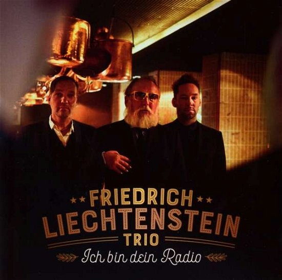 Ich Bin Dein Radio - Friedrich Trio Liechtenstein - Music - OKEH - 0889854509224 - September 22, 2017