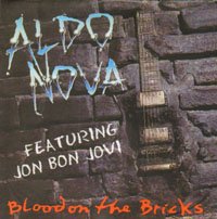 Cover for Aldo Nova · Blood on the Bricks (CD) (2013)