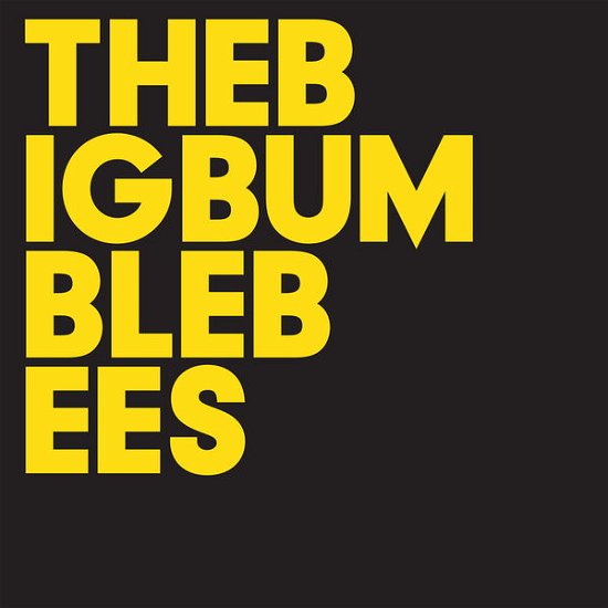 Cover for Big Bumble Bees · The Big Bumble Bees (CD) (2014)