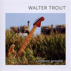Common Ground - Walter Trout - Musique - PROVOGUE - 8712725730224 - 1 juillet 2010