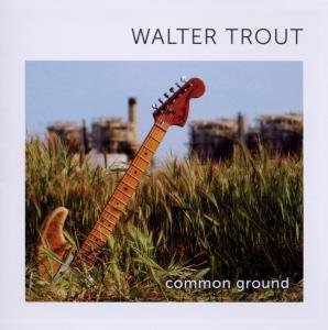 Cover for Walter Trout · Common Ground (CD) (2010)