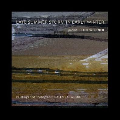 Cover for Peter Weltner · Late Summer Storm In Early Winter (Paperback Book) (2015)