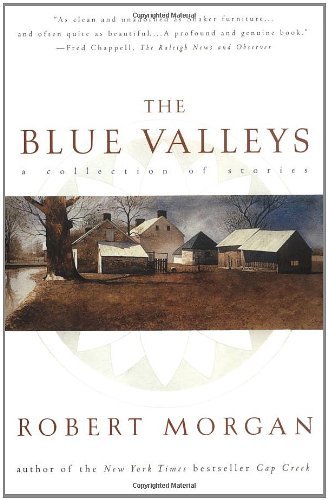 Cover for Robert Morgan · The Blue Valleys: a Collection of Stories (Paperback Bog) (2000)