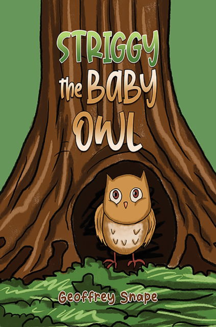 Geoffrey Snape · Striggy the Baby Owl (Pocketbok) (2025)