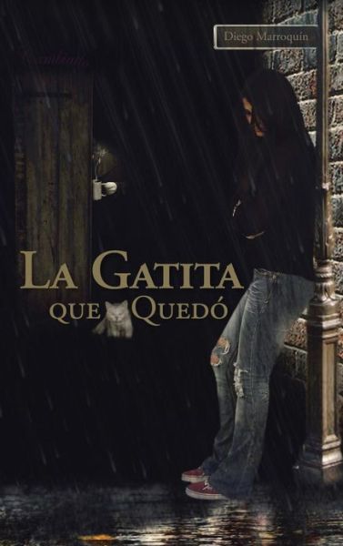 Cover for Diego Marroquin · La Gatita Que Quedo (Hardcover Book) (2013)