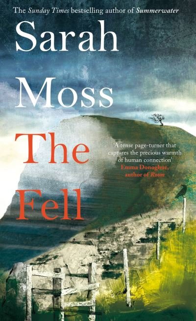 Cover for Sarah Moss · The Fell (Gebundenes Buch) (2021)