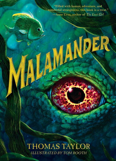 Cover for Malamander (Book) (2019)