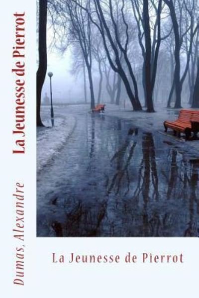 Cover for Dumas Alexandre · La Jeunesse de Pierrot (Paperback Bog) (2017)