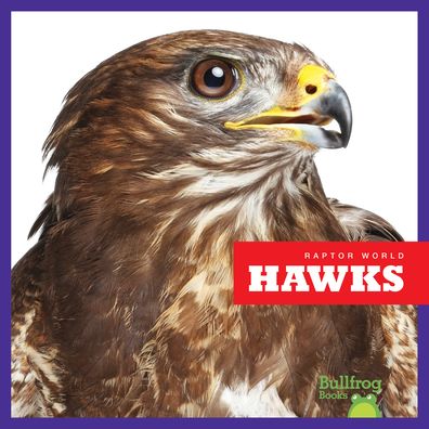 Cover for Jenna Lee Gleisner · Hawks (Paperback Book) (2019)