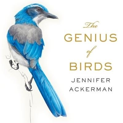 Cover for Jennifer Ackerman · The Genius of Birds (CD) (2016)