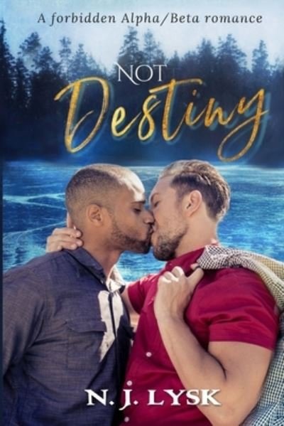 Cover for N J Lysk · Not Destiny (Paperback Book) (2018)