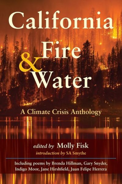 Cover for Molly Fisk · California Fire &amp; Water (Paperback Book) (2020)