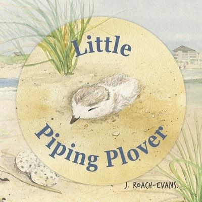 Cover for Joanne Evans · Little Piping Plover (Book) (2022)