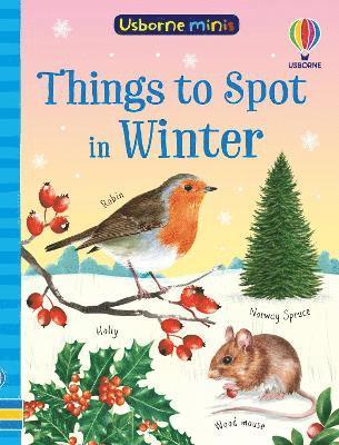 Cover for Simon Tudhope · Things to Spot in Winter - Usborne Minis (Paperback Book) (2025)