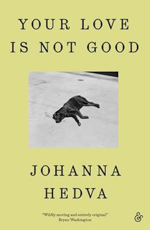 Cover for Johanna Hedva · Your Love is Not Good (Paperback Book) (2025)