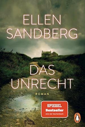 Das Unrecht - Ellen Sandberg - Books - Penguin - 9783328107224 - December 27, 2023