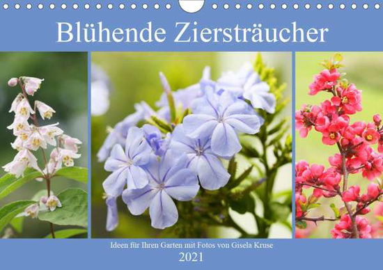 Blühende Ziersträucher (Wandkalen - Kruse - Books -  - 9783672244224 - 