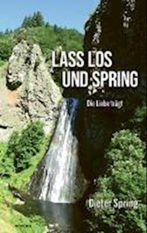 Lass los und spring - Dieter Spring - Książki - novum Verlag - 9783991305224 - 5 września 2024