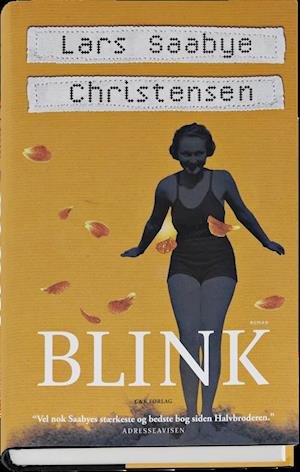 Cover for Lars Saabye Christensen · Blink (Bound Book) [1. Painos] (2013)