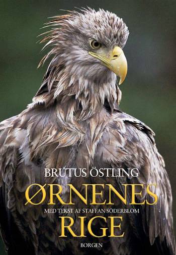 Cover for Brutus Östling · Ørnenes rige (Bound Book) [1st edition] (2008)