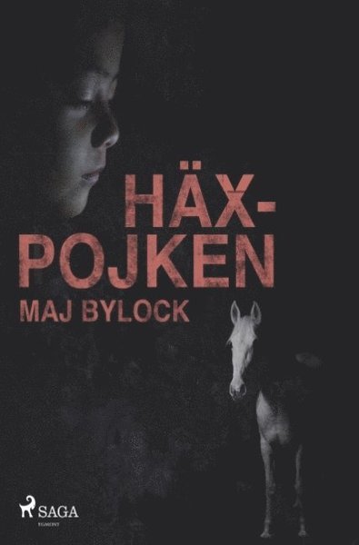 Häxserien: Häxpojken - Maj Bylock - Książki - Saga Egmont - 9788726041224 - 26 listopada 2018