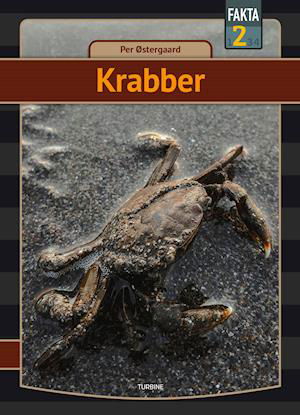 Cover for Per Østergaard · Fakta 2: Krabber (Innbunden bok) [1. utgave] (2021)