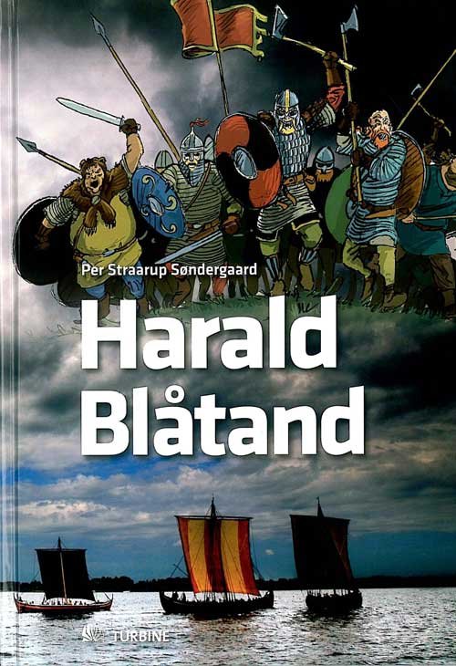 Cover for Per Straarup Søndergaard · Harald Blåtand (Hardcover bog) [1. udgave] [Indbundet] (2012)