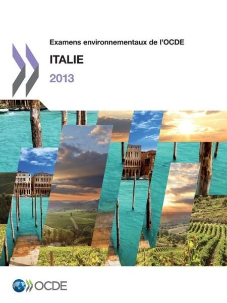 Cover for Oecd Organisation for Economic Co-operation and Development · Examens Environnementaux De L'ocde : Italie 2013: Edition 2013 (Paperback Book) [French edition] (2013)
